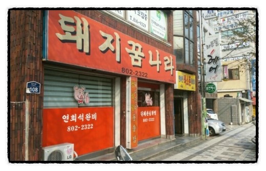 돼지꿈나라 이미지