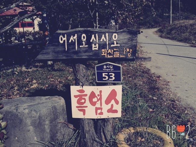 경주옻닭 이미지