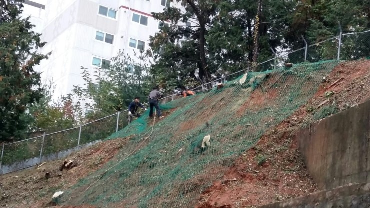 수목산업 이미지