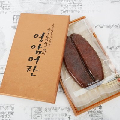보타르가 이미지