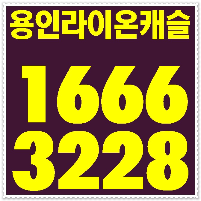 라이온캐슬 이미지
