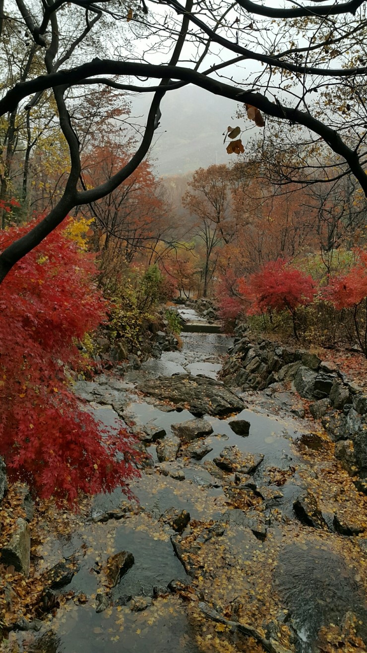 부천자동차배터리;밧데리 이미지