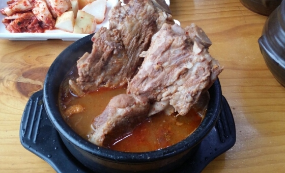원조뼈다귀 이미지