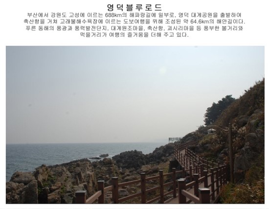 푸른항공여행사 이미지