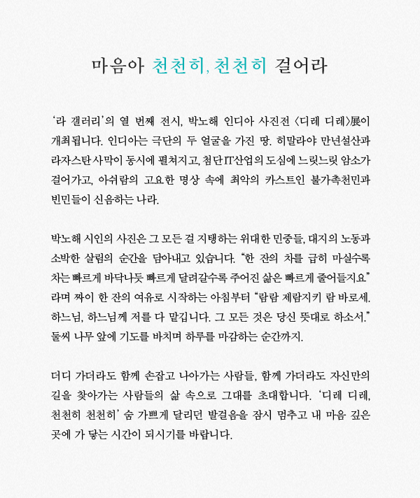 디레디레 이미지