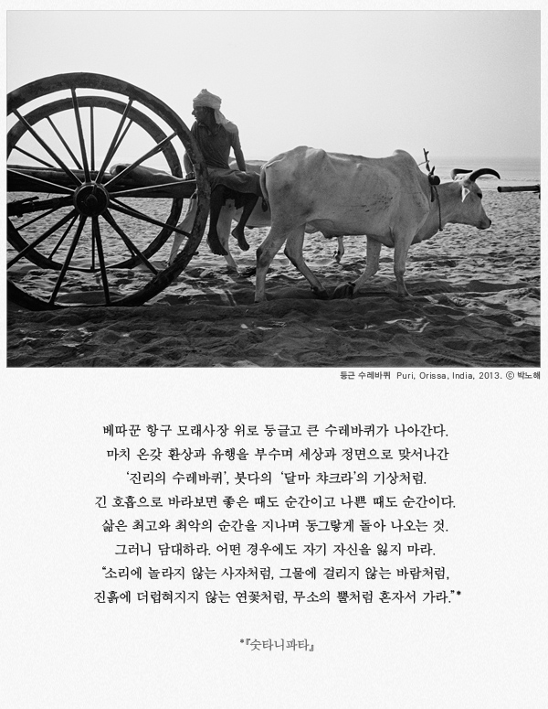 디레디레 이미지