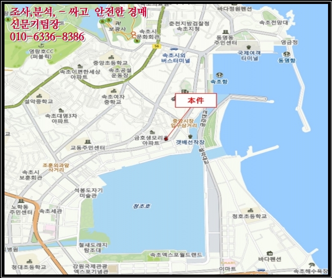 폼나리 이미지