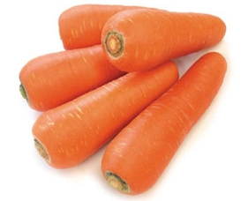 마싯소 이미지
