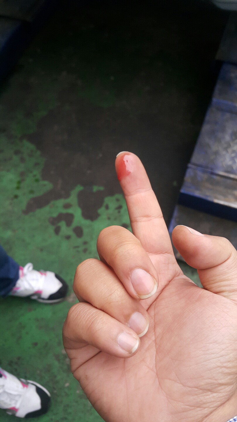 대일카 이미지