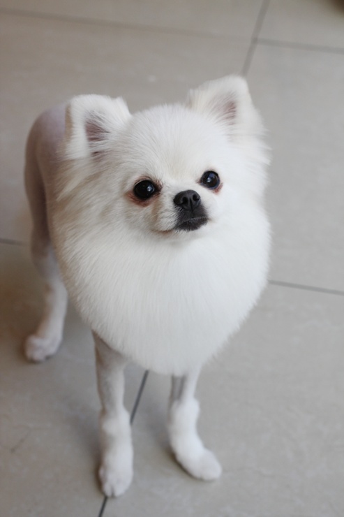 별난살롱 이미지