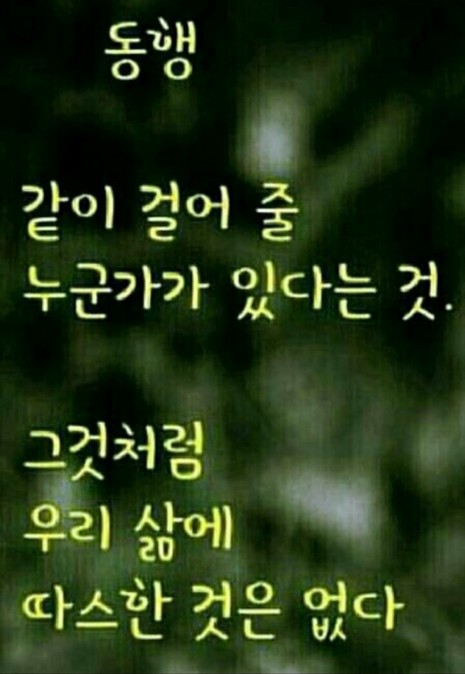 로터리 실내포차 이미지