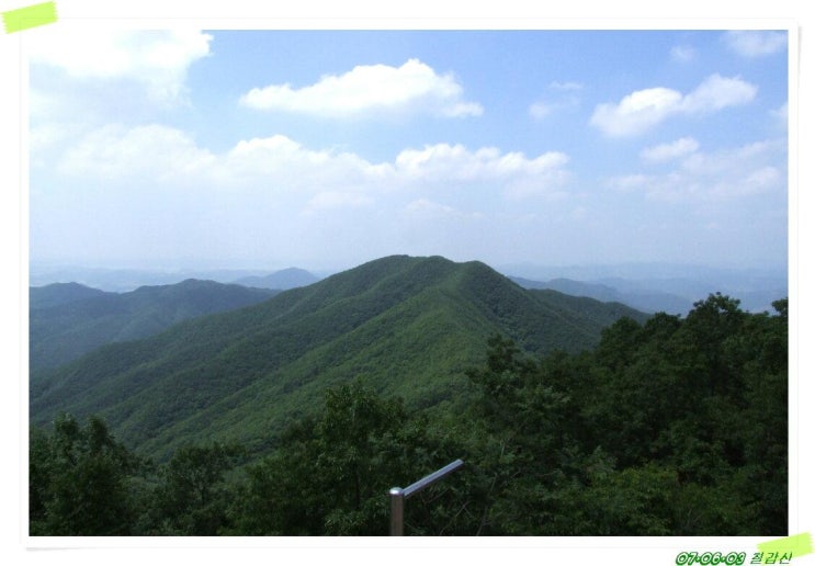칠갑산식당 이미지