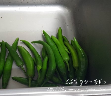 신성정육점 이미지