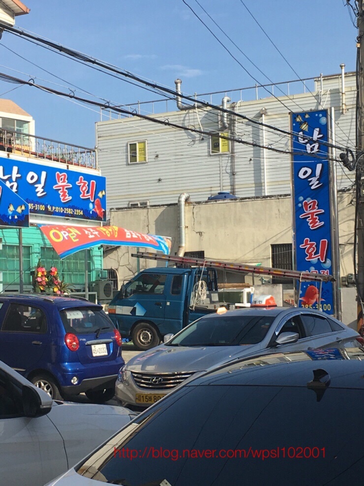 남일물회 이미지
