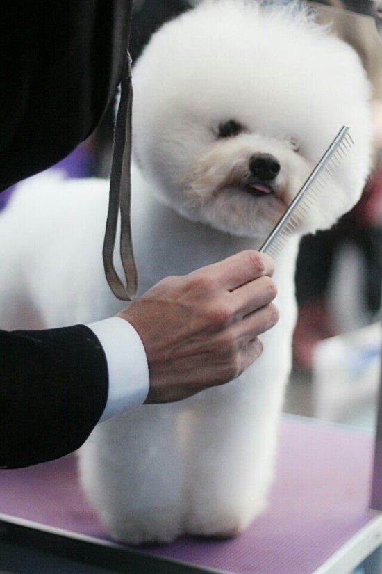 불칸 이미지