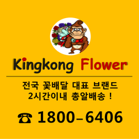 킹콩플라워 이미지
