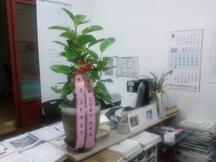 제일자전차 이미지