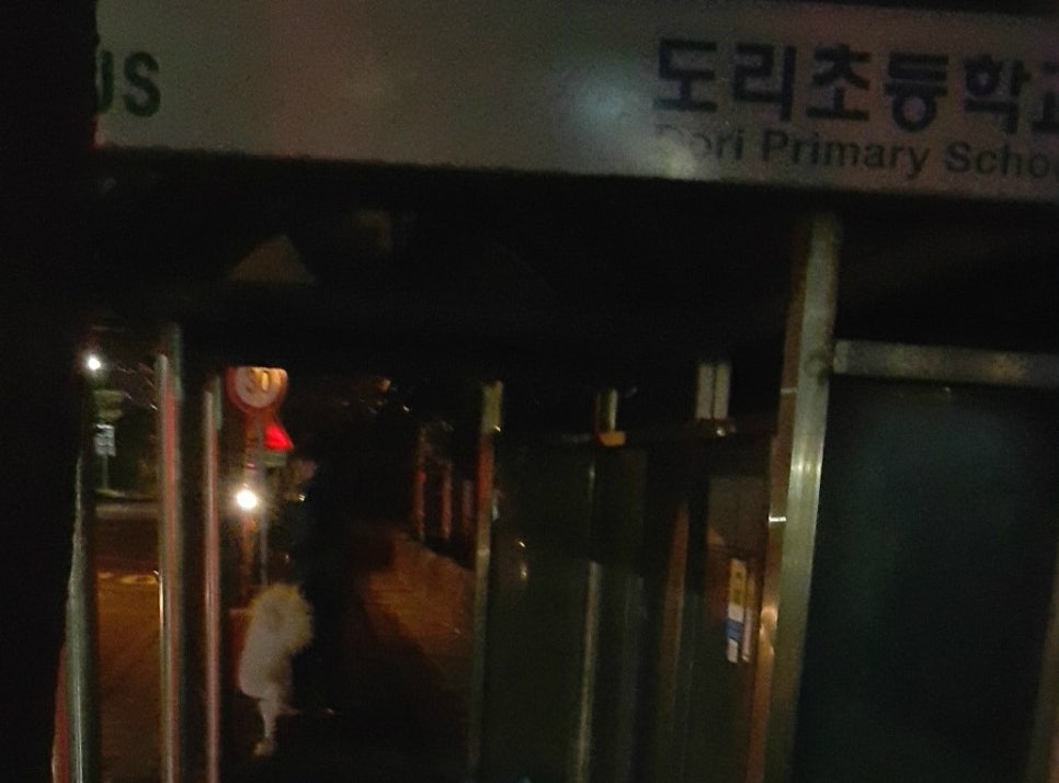 도레미게스트하우스 이미지