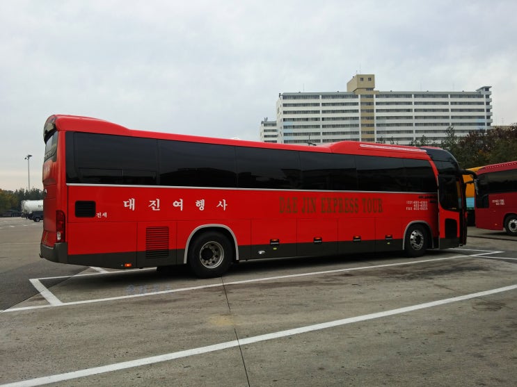 대진여행사 이미지