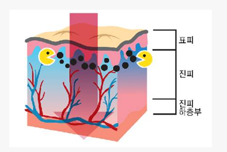 아름다운미의원 이미지