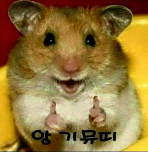 영구제 이미지