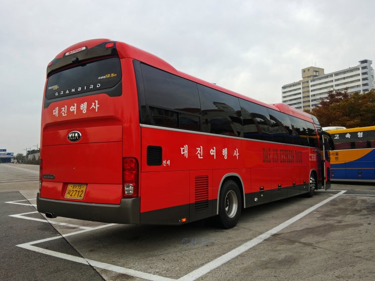 대진여행사 이미지