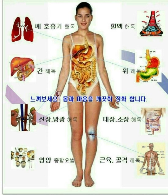 플로렉스 이미지