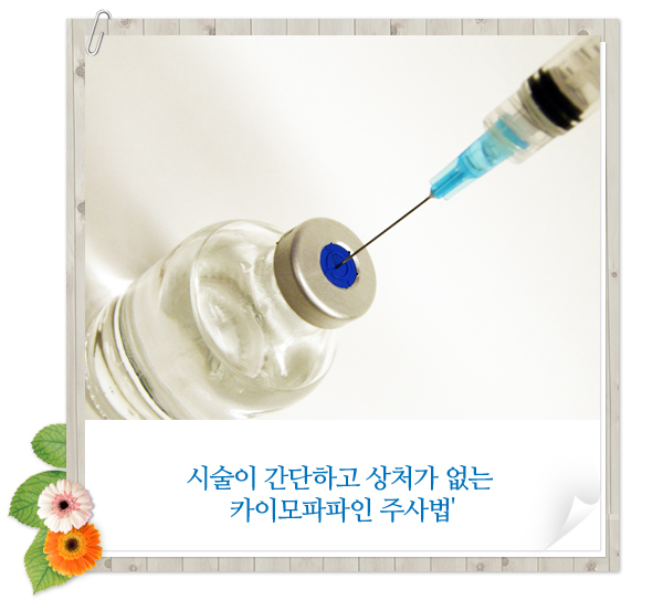 카이모 이미지