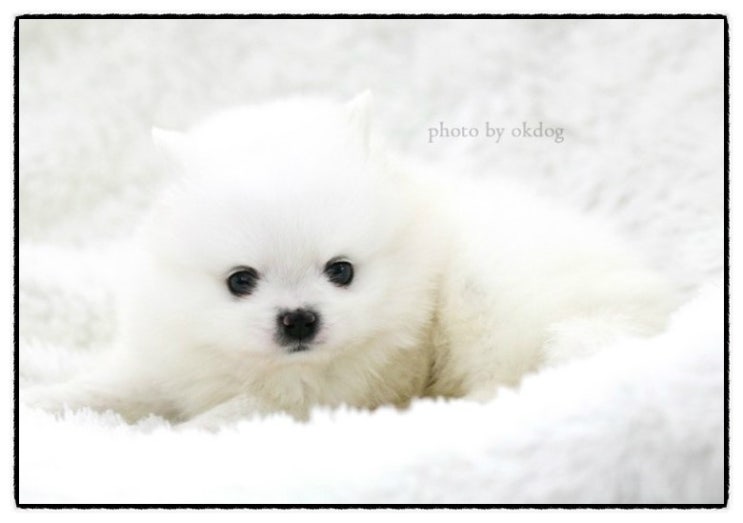 오케이에너지(주) 이미지