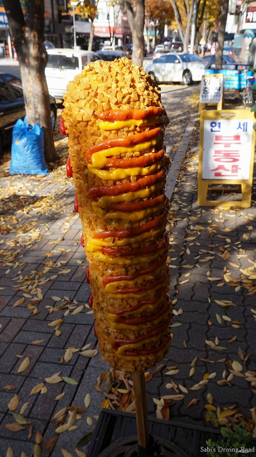 쏭스클럽 이미지