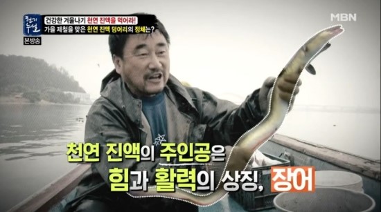 장어와미꾸라지 이미지