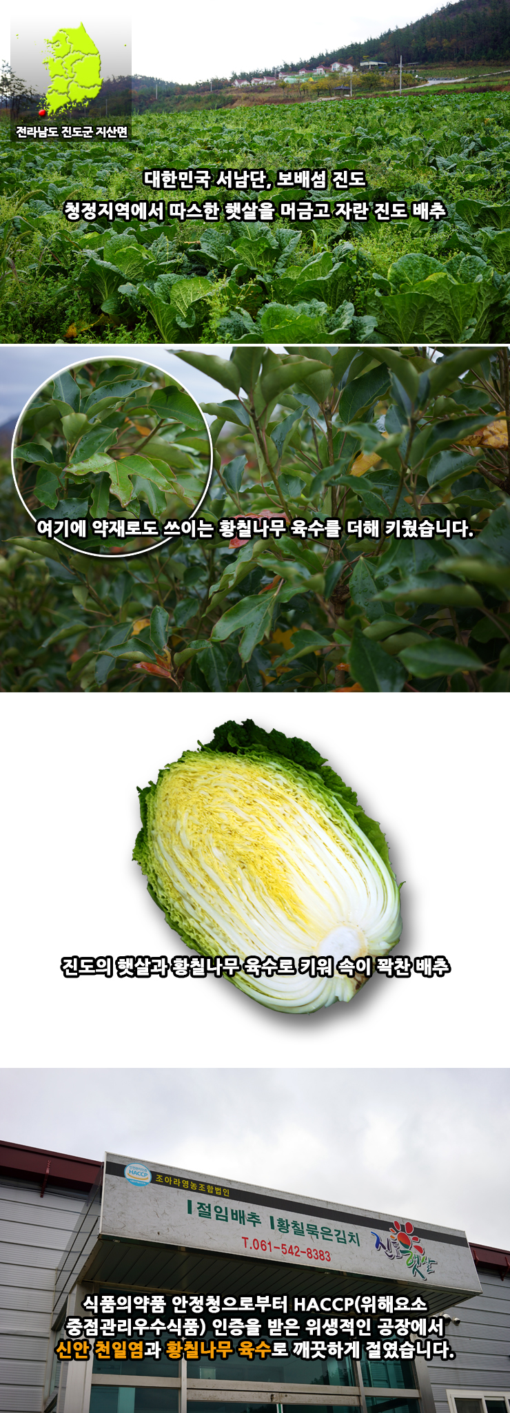 조아라영농조합법인 이미지