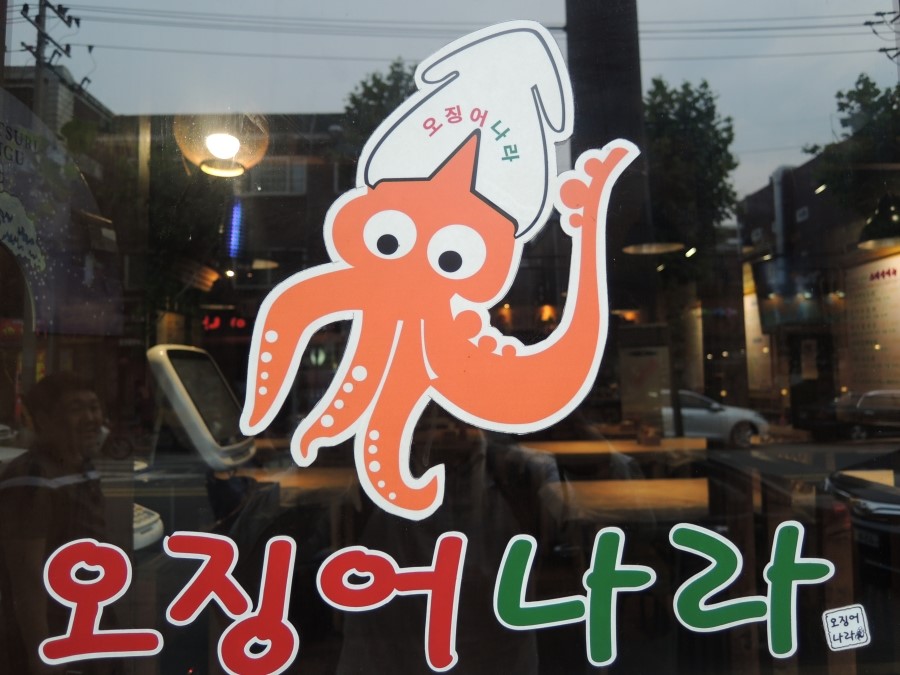 오징어나라 이미지