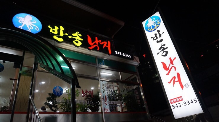 반송낙지 이미지