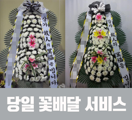 을지대학병원꽃집 이미지