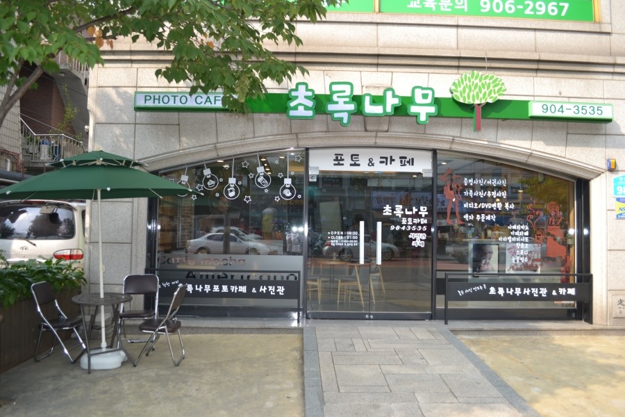 초록나무 이미지