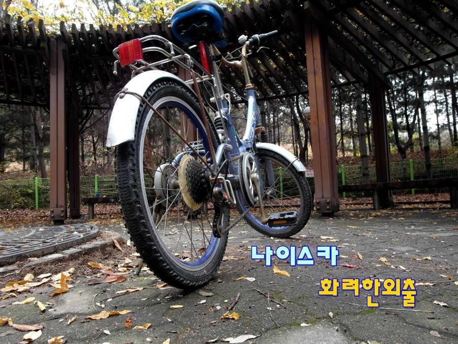 나이스카 이미지