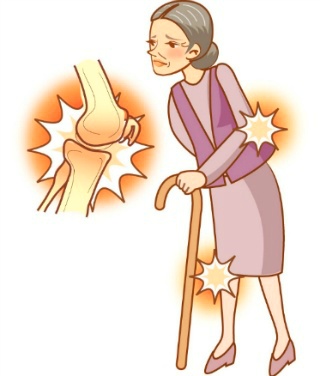 이엘글로벌 이미지