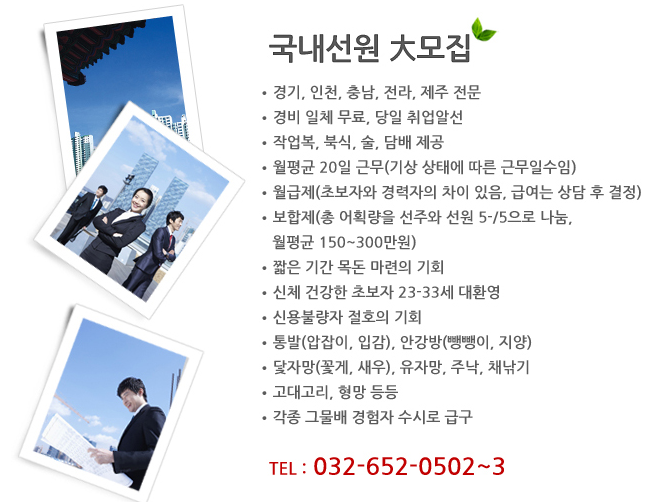제주직업소개소 이미지