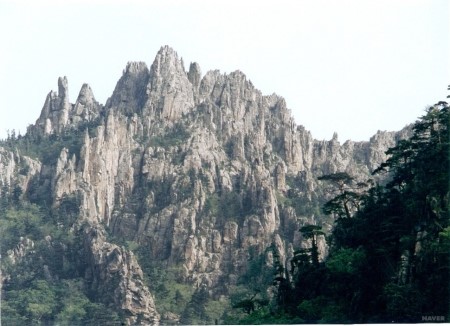 조선한방 이미지