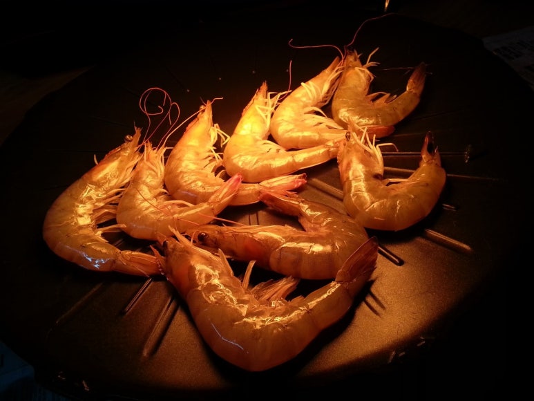대하마트 이미지
