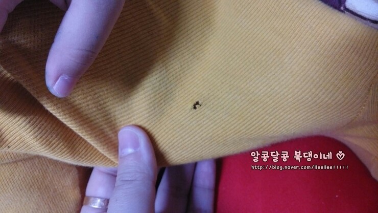 가위든남자 이미지