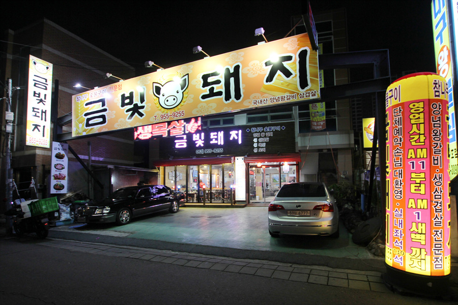 금빛돼지 이미지