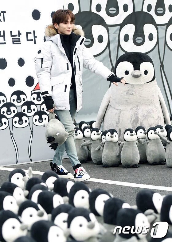 여우날다 이미지