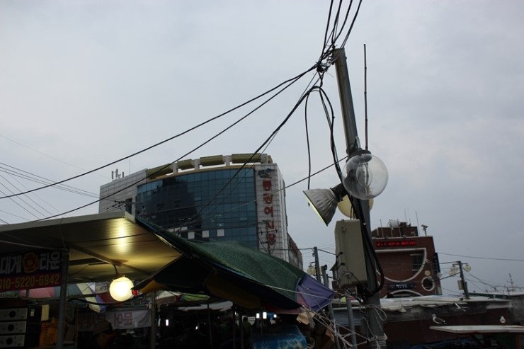 동광수산 이미지