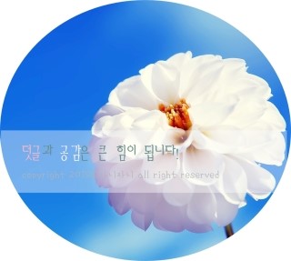 셀피아셀프24시빨래방 이미지