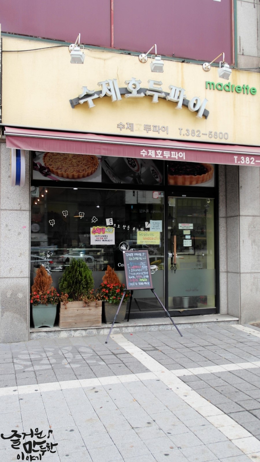 마드레떼파이 이미지