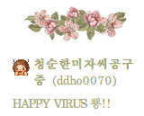 시카고댁 이미지