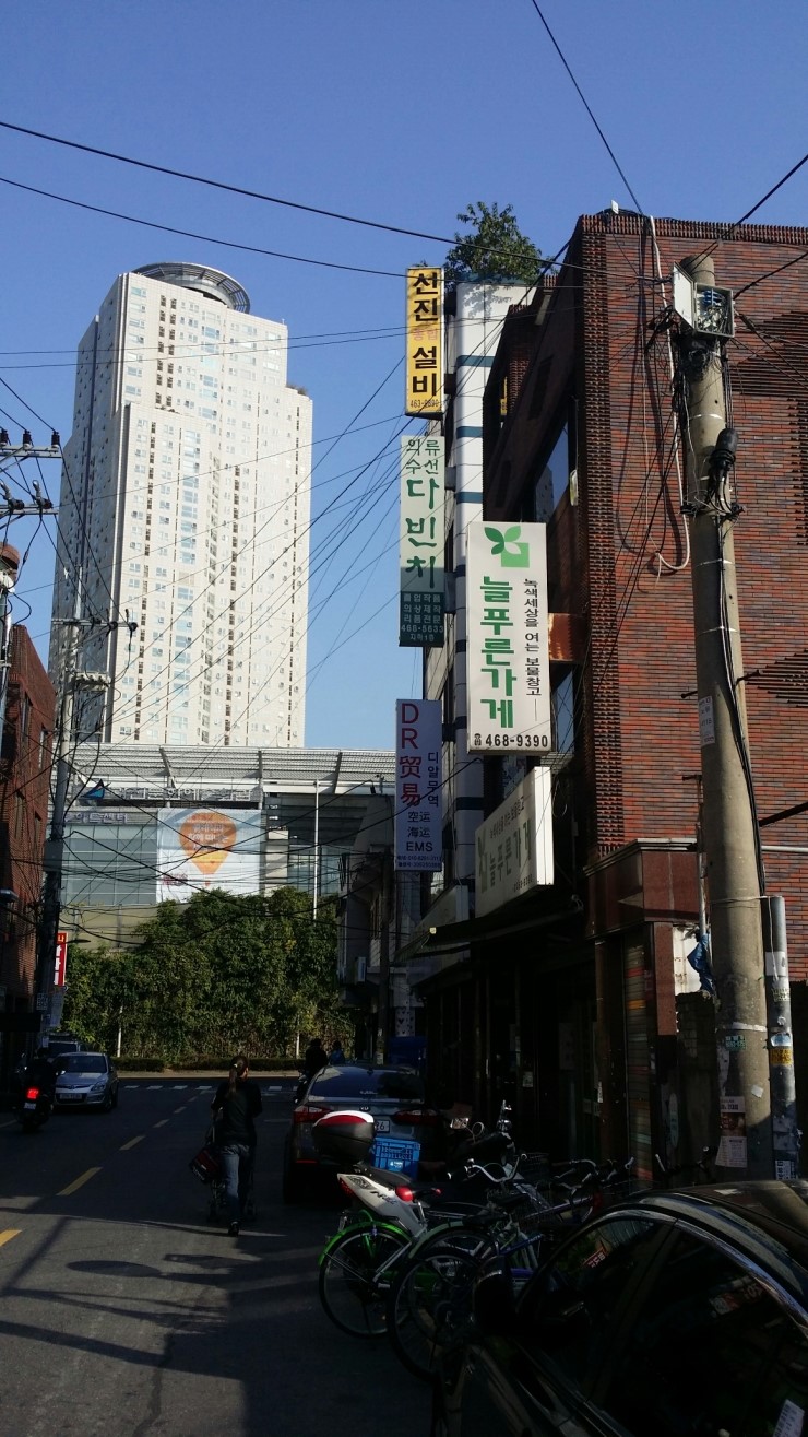 로데오수선 이미지