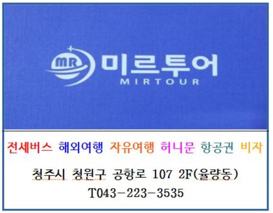 미르항공여행사 이미지